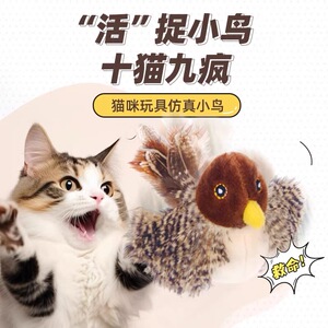 发声自嗨仿真小鸟神器消耗体力