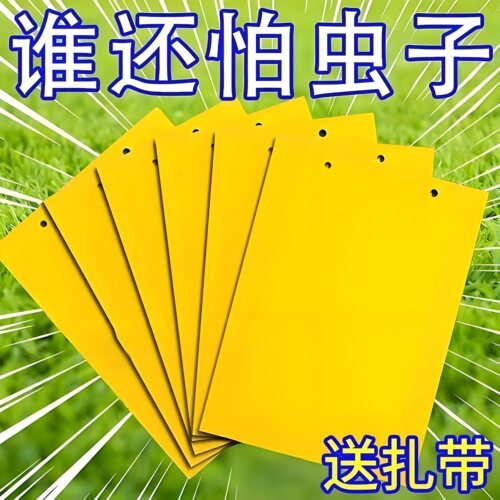 双面粘虫板贴纸强力灭杀小飞虫