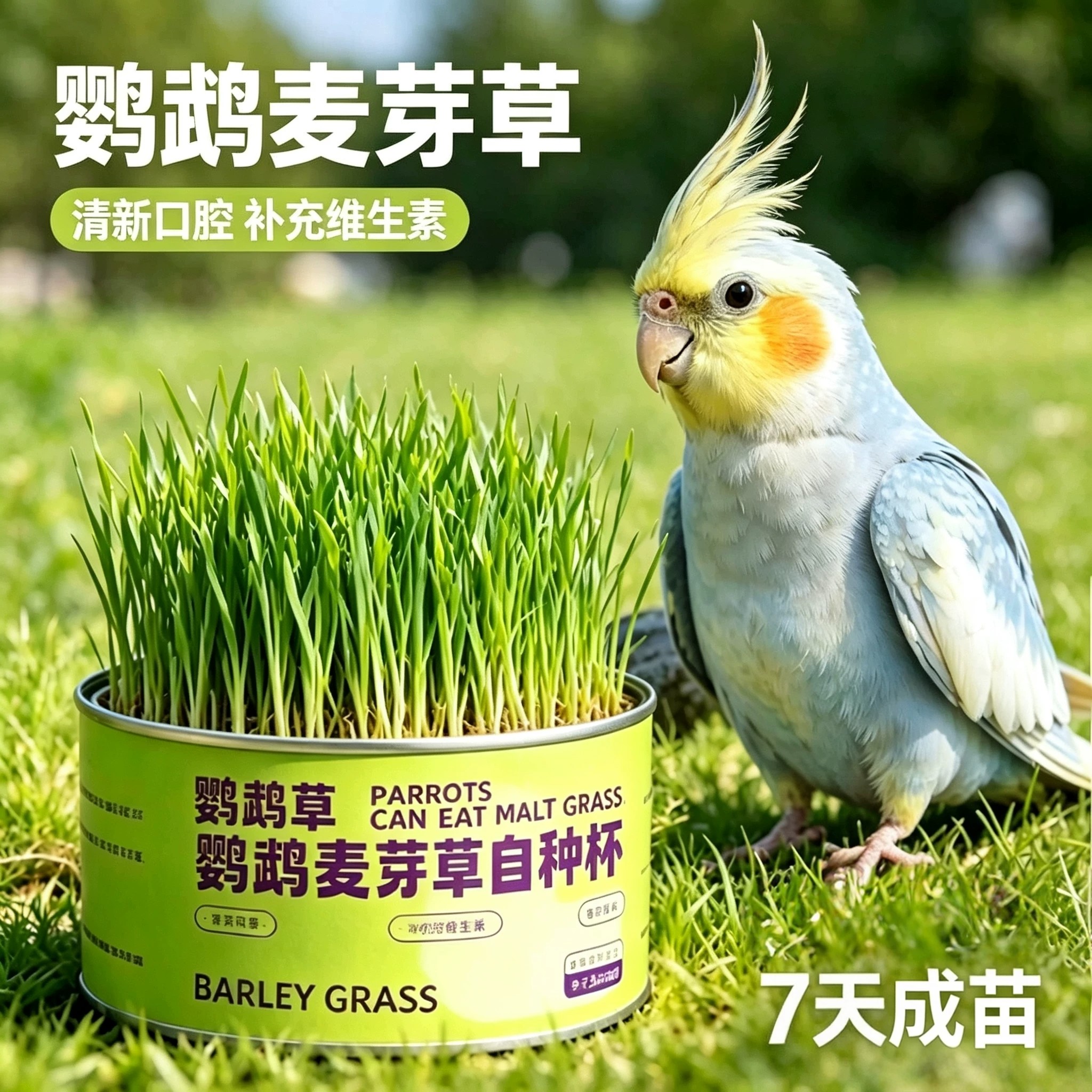鹦鹉大麦草粮促消化解闷防啄毛