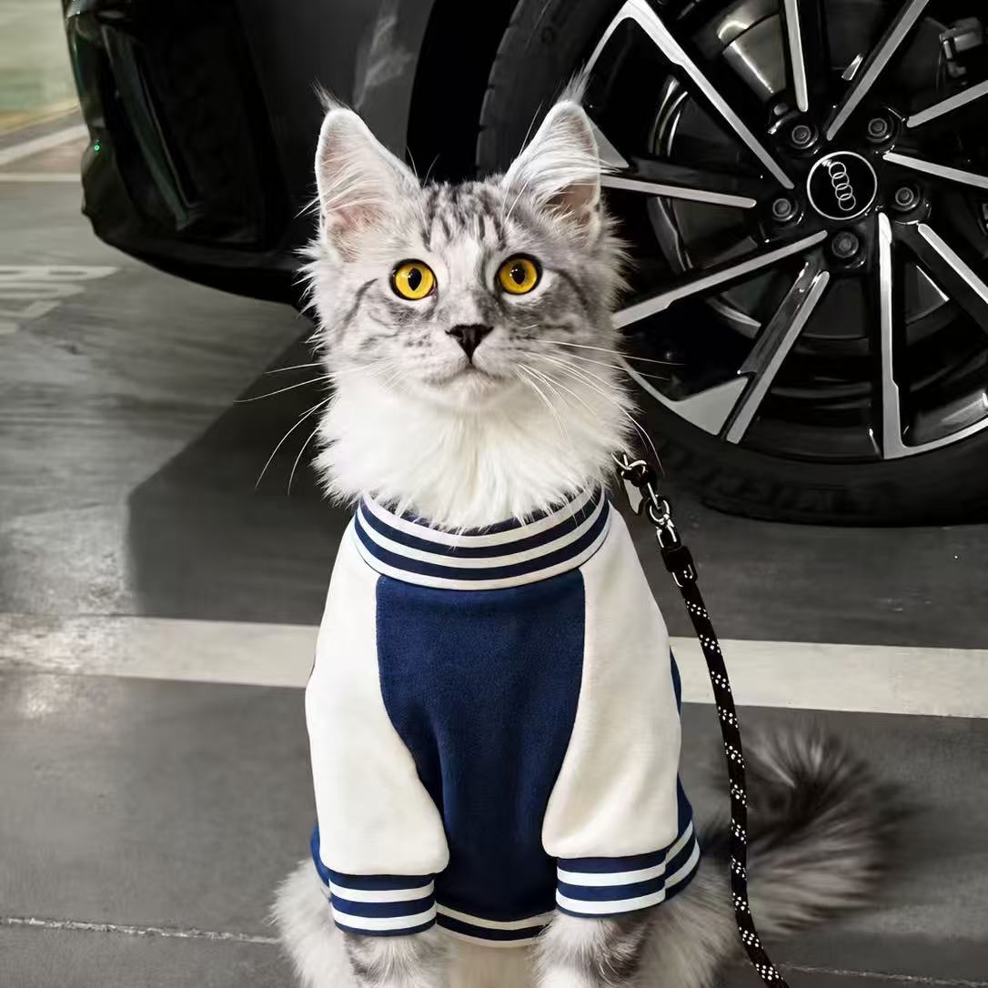 猫咪衣服春秋款公猫帅气蓝猫暹罗猫缅因猫小猫狸花猫银渐层棒球服图片