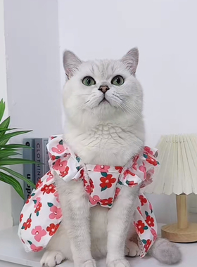 宠物猫咪衣服夏天薄款狗狗可牵引红色公主裙子布偶猫银渐层防掉毛
