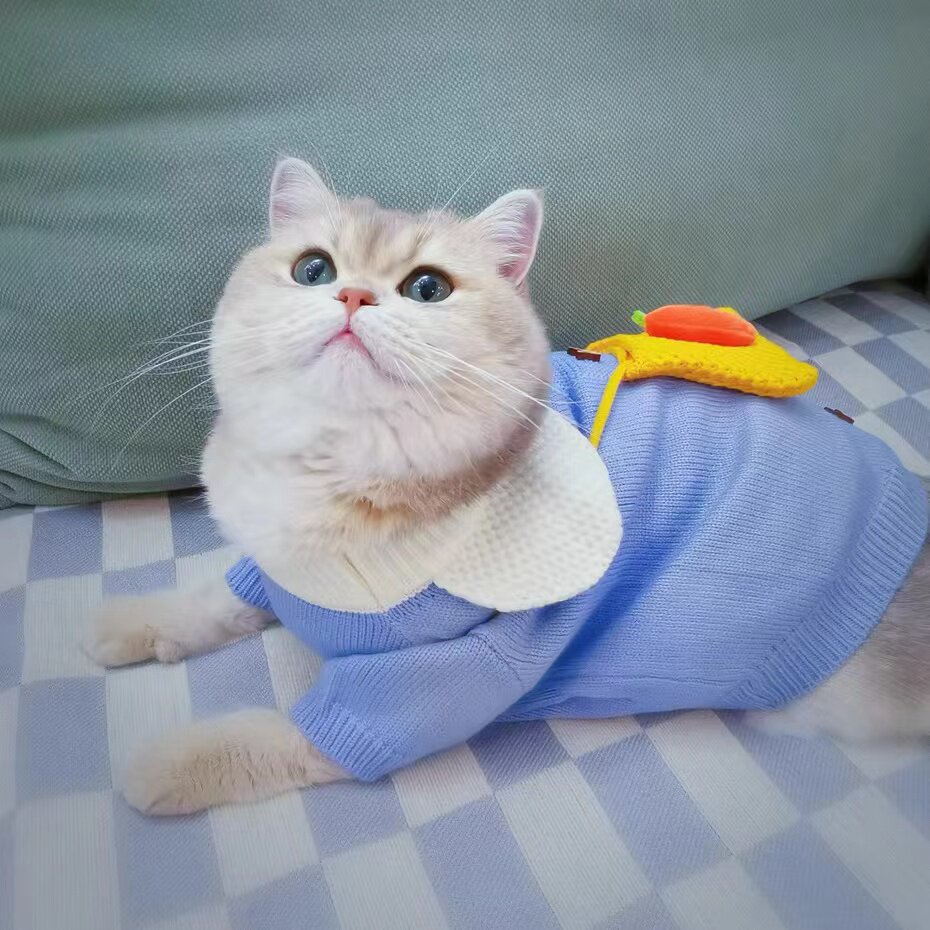猫咪春秋款可爱毛衣布偶猫英短蓝猫银渐层加菲猫暹罗猫秋季衣服