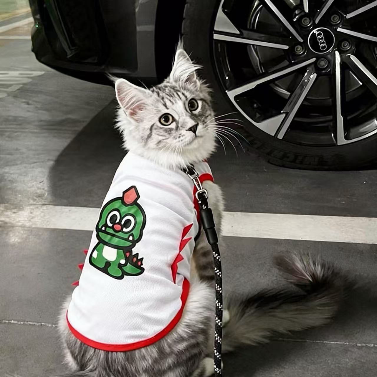 猫咪衣服公猫帅气蓝猫暹罗猫缅因猫小猫银渐层豹猫防掉毛夏季背心图片