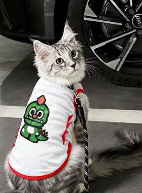 猫咪衣服公猫帅气蓝猫暹罗猫缅因猫小猫银渐层豹猫防掉毛夏季背心