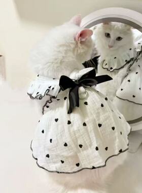 宠物猫咪衣服春秋薄款公主风裙子银渐层布偶猫加菲猫英短蓝猫可爱