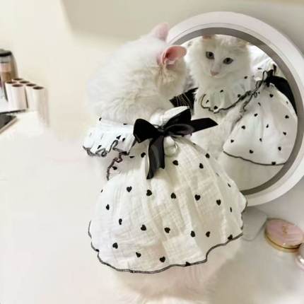可牵引宠物猫咪衣服春夏季狗狗薄款公主风裙子银渐层布偶猫加菲猫