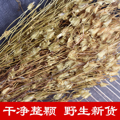 青叶胆500g 中药材 深山野生  肝的炎草 小青鱼胆 七疸药