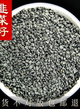 韭菜籽持久泡水中药材