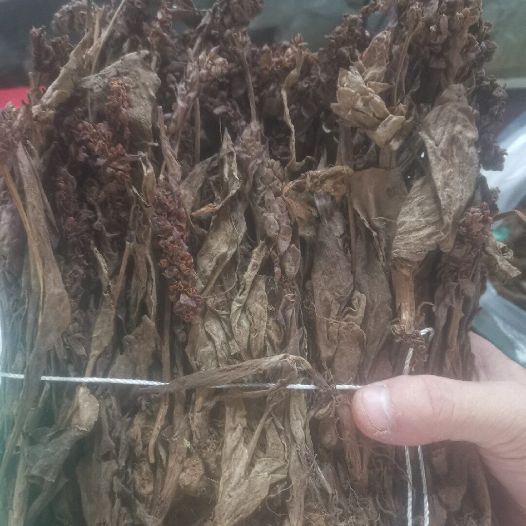 双肾草 500克 中药材 肾阳草  鸡肾参 对对参