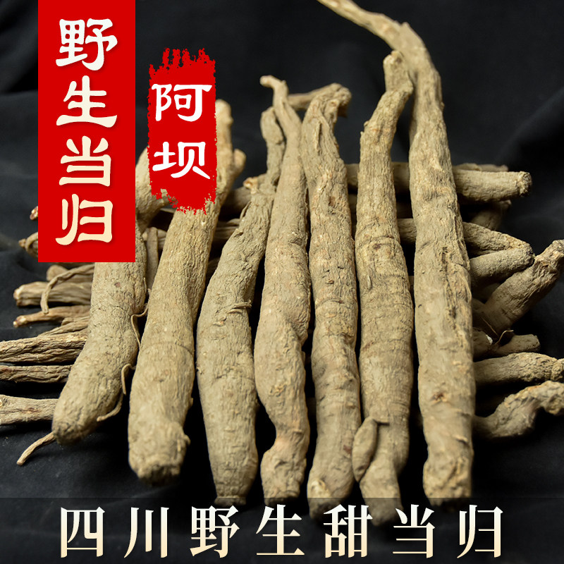 四川阿坝野生当归【500g】川当归 古秦归 独角甜当归野生特级整根