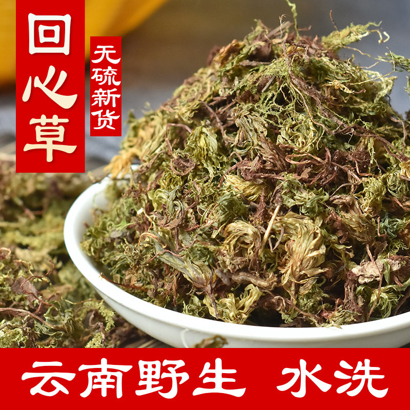 回心草 中药材 500g 太阳草 岩谷伞 茴心草 野生  大叶藓
