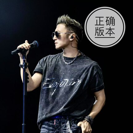 谢霆锋同款T恤短袖演唱会evolution春夏男女纯棉宽松复古做旧衣服