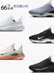 Nike InfinityRN 4 GORE-TEX Waterproof Soft Unisex Running Shoes HQ0264 HQ0265