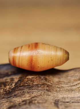 西亚百年橙色绞丝搅胎缠丝老琉璃古珠18.7x9 一端略短 包老好价