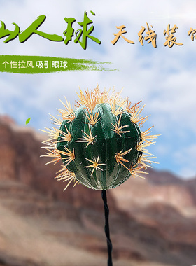 适用于minicooper汽车顶仙人球天线球抖音同款装饰仿真仙人掌改装