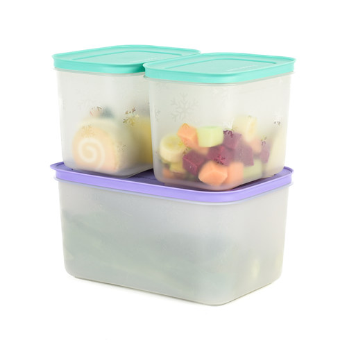 特百惠新冷冻保鲜入门套装 生鲜丸子储藏盒冰箱密封冷冻盒