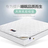 Nệm cao su nhập khẩu 1.5 1.8m lò xo 3E Coir Mat Mềm và cứng tùy chỉnh Simmons Nệm - Nệm nệm gòn ép