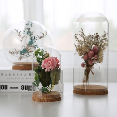 Glass Dome Display Wood Cork Bell Jar Cover Cloche Display W