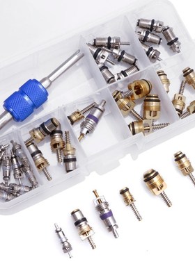 39Pcs R12 R134A Car Air Conditioning AC Tire Valve Stem Core