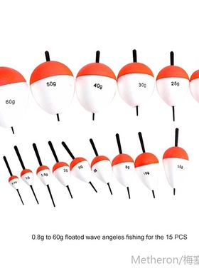 15/10/8/6pcs/Set EPS Fishing Floats Set 0.8g-60g Sea Fish Fl