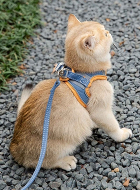 Cat Harness Leash Set for Chihuahua Accessories Dog Cat