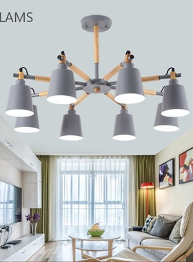 Modern simple 3/6/8 head solid wood Macron colorful LED chan