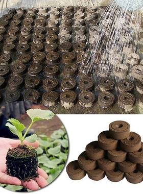 2050100pcspack 25mm30mm Jiffy Peat Pellets Seedling Soil
