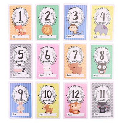 12 Sheet Milestone Photo Sharing Cards Gift Set Baby Age Car