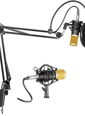 BM800 karaoke microphone studio condenser mikrofon KTV BM 8