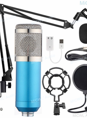 Professional Studio Recording Live Karaoke PC Sing Micropho