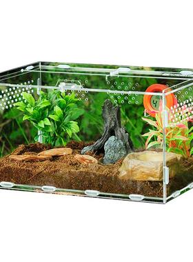 Acrylic Reptile Box For Spiders Tortoise Lizard Breeding