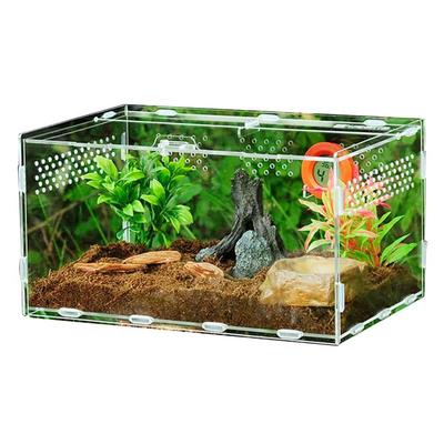 Acrylic Reptile Box For Spiders Tortoise Lizard Breeding