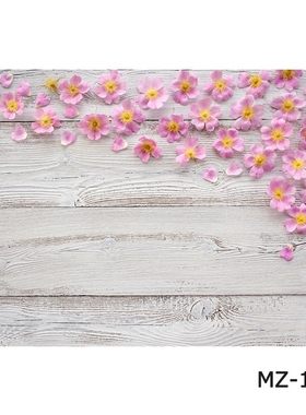 Photocall Photophone Rural Background Wood Board Backdrop B