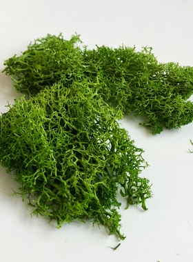 30G Lichen Moss cluster for bushes,model trees foliage scale