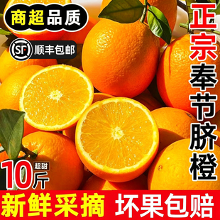 正宗重庆奉节脐橙新鲜橙子水果当季手剥冰糖甜橙大果整箱包邮10斤