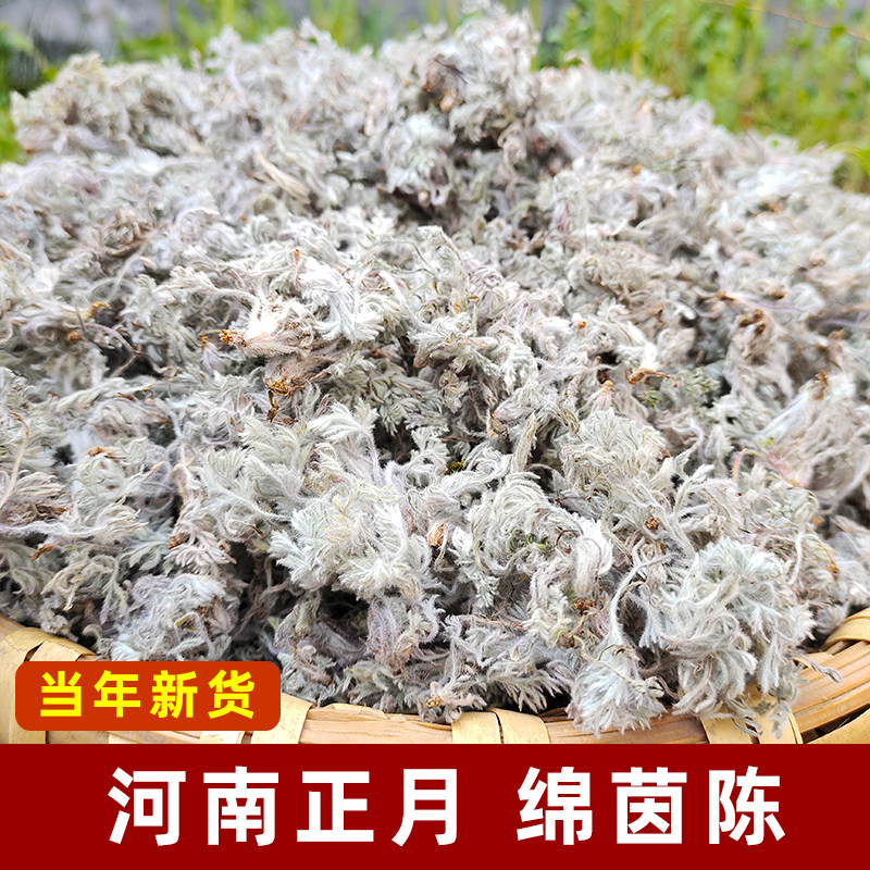 河南正月茵陈正品无添加中药材