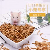 小零食高蛋白质补钙营养 仓鼠粮食面包虫黄粉虫干 金丝熊怀孕吃