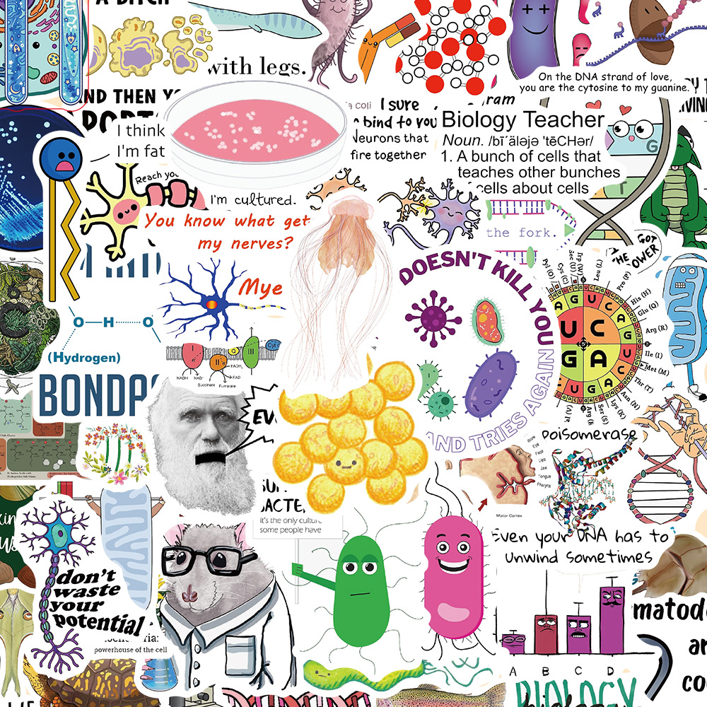 涂中鸦贴纸/立体贴纸50张Bio