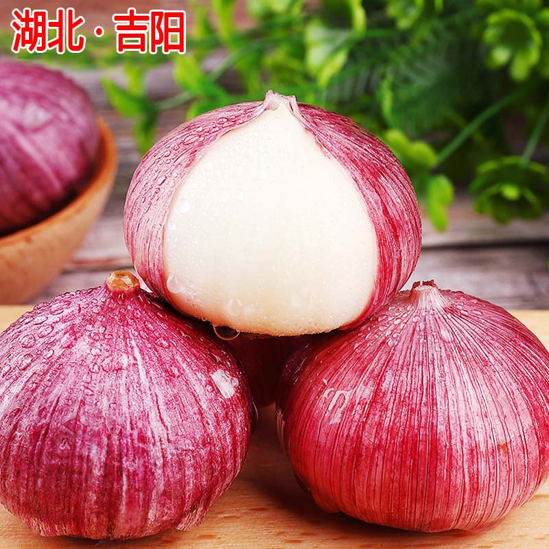 2023独蒜紫皮新鲜种籽湖北吉阳