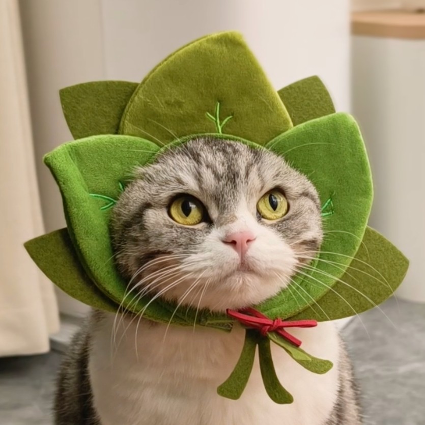 柚子叶猫咪头套宠物可爱帽子小型犬帽子小猫头饰变装帽拍照道具,宠物/宠物食品及用品,帽子,淘宝优惠券,粉丝福利购,淘宝优惠卷