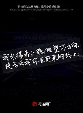 河洛间汽车贴纸陪你去流浪薛之谦