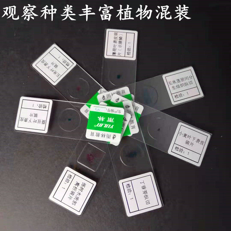 生物玻片标本套装多种显微镜切片动植物细胞观察实验教学示范科研