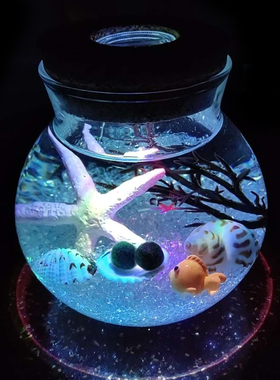 海藻球微景观圆形玻璃生态瓶
