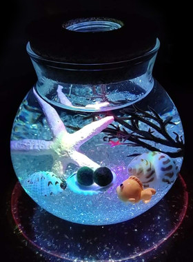 海藻球微景观圆形玻璃生态瓶
