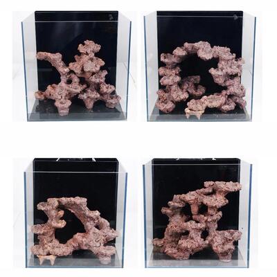 水族海水鱼缸人工造景活石培菌