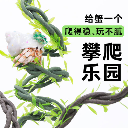 寄居蟹攀爬藤条～多根多枝