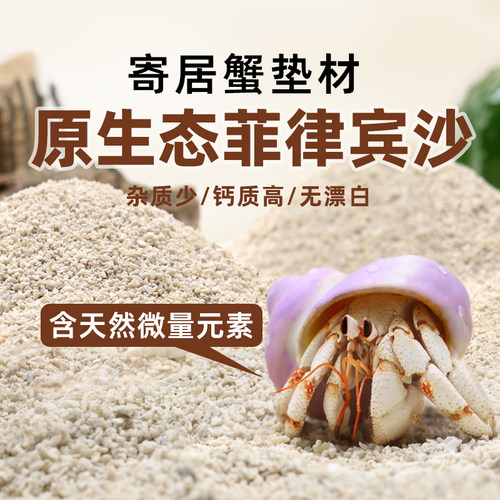寄居蟹垫材底沙菲律宾沙免洗沙