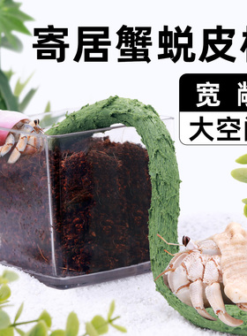 寄居蟹蜕皮桶套装～隔离盒套缸活体宠物躲避大号小号迷你多规格