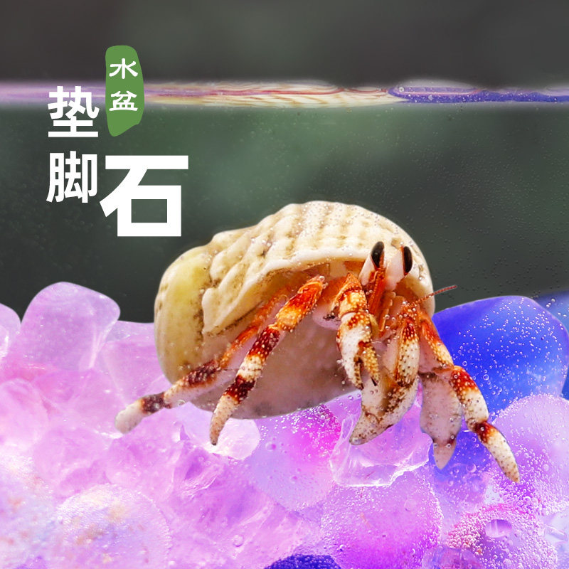 寄居蟹水盆垫脚石～防溺水装饰石头鹅卵石彩块梦幻渐变粉色