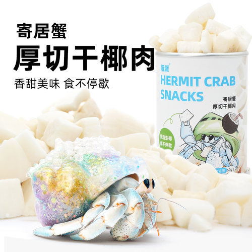 寄居蟹食物罐装零食厚切椰块～